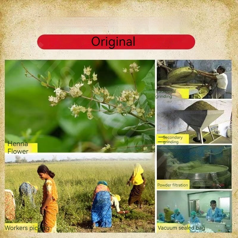 Natural Pure Plant Henna Powde - مراجعة Indigo Dye Kit وسعره
